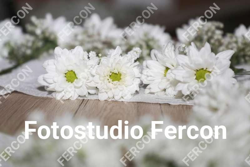 Fercon186.jpg